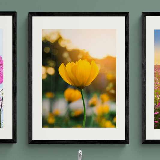Poster in Lijst Veld van Bloeiende Gele Bloemen