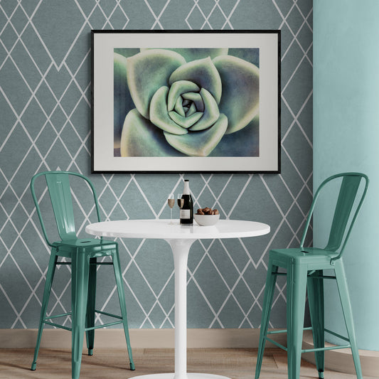Poster in Lijst Vetplant van Boven