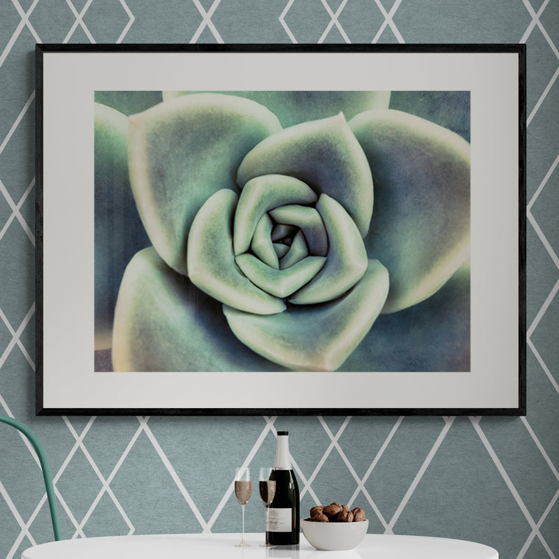 Poster in Lijst Vetplant van Boven