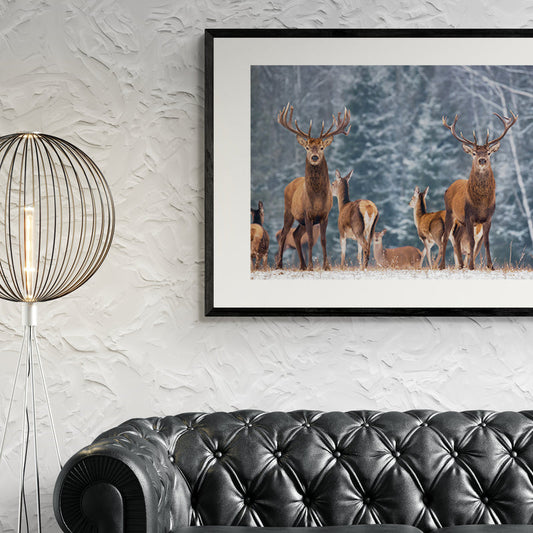 Poster in Lijst Winterlandschap met Edelherten