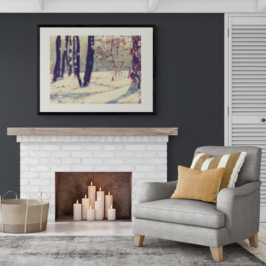 Poster in Lijst Winters Spel van Licht en Schaduw