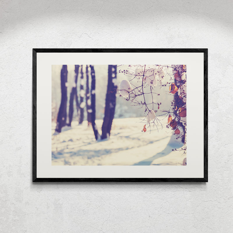 Poster in Lijst Winters Spel van Licht en Schaduw