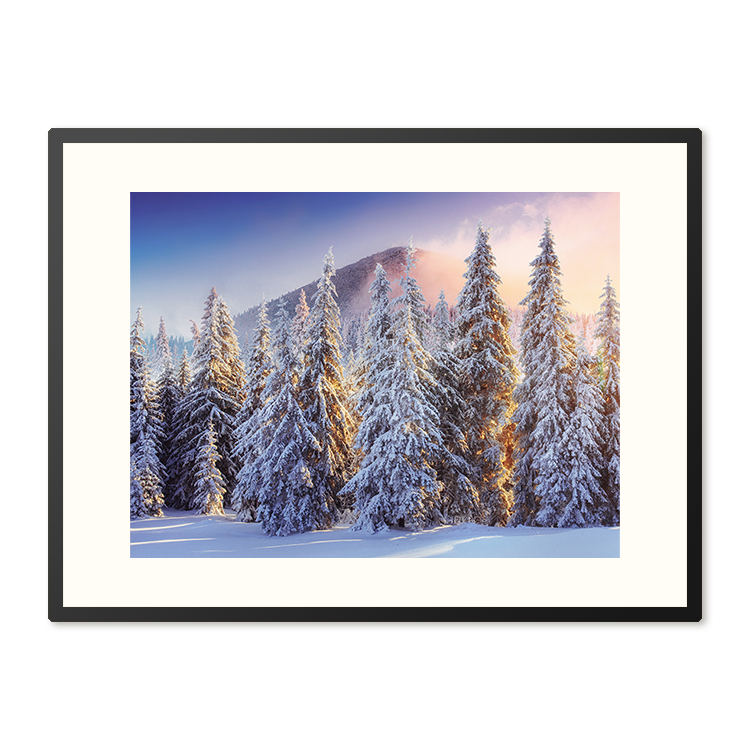 Poster in Lijst Winterwoud
