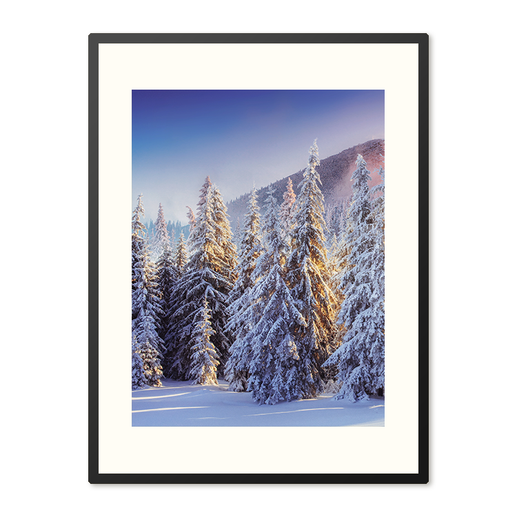 Poster in Lijst Winterwoud