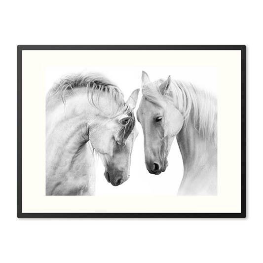Poster in Lijst Witte Paarden