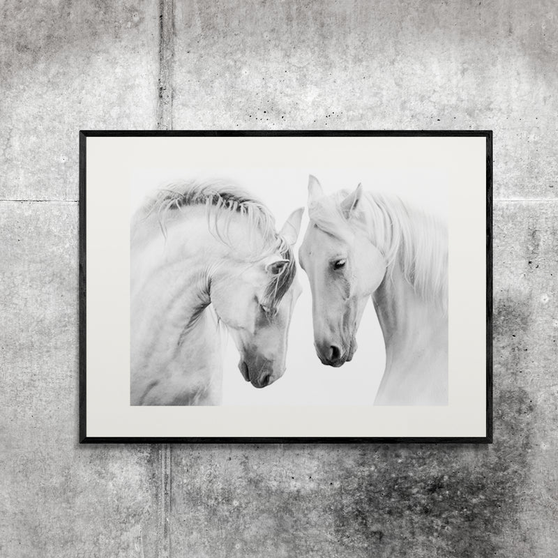 Poster in Lijst Witte Paarden