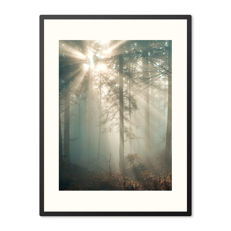 Poster in Lijst Zonnestraal in het Winterwoud