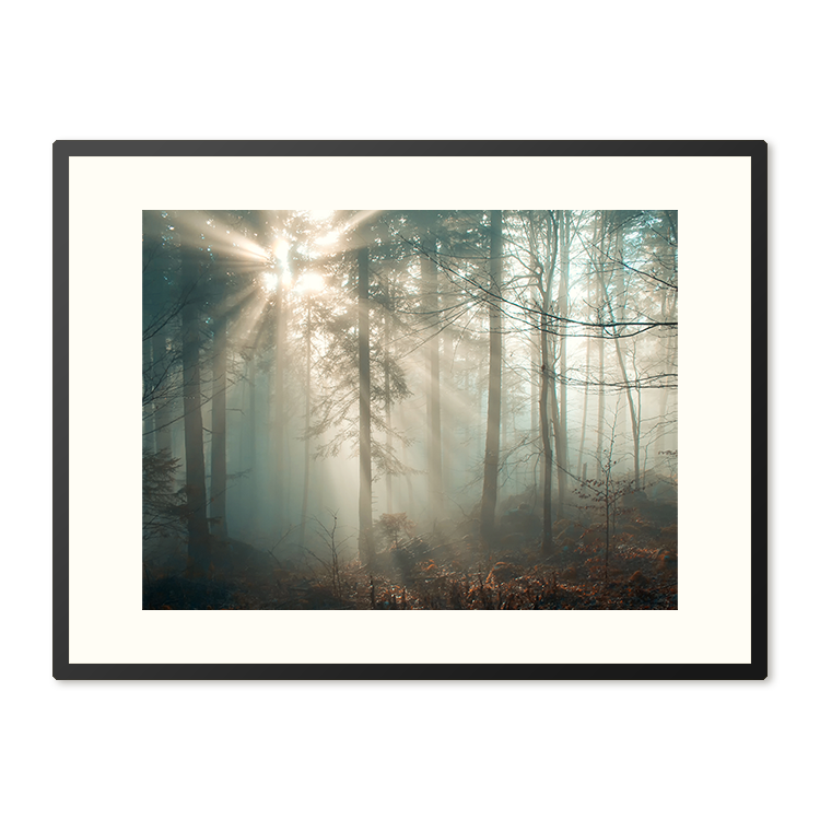 Poster in Lijst Zonnestraal in het Winterwoud