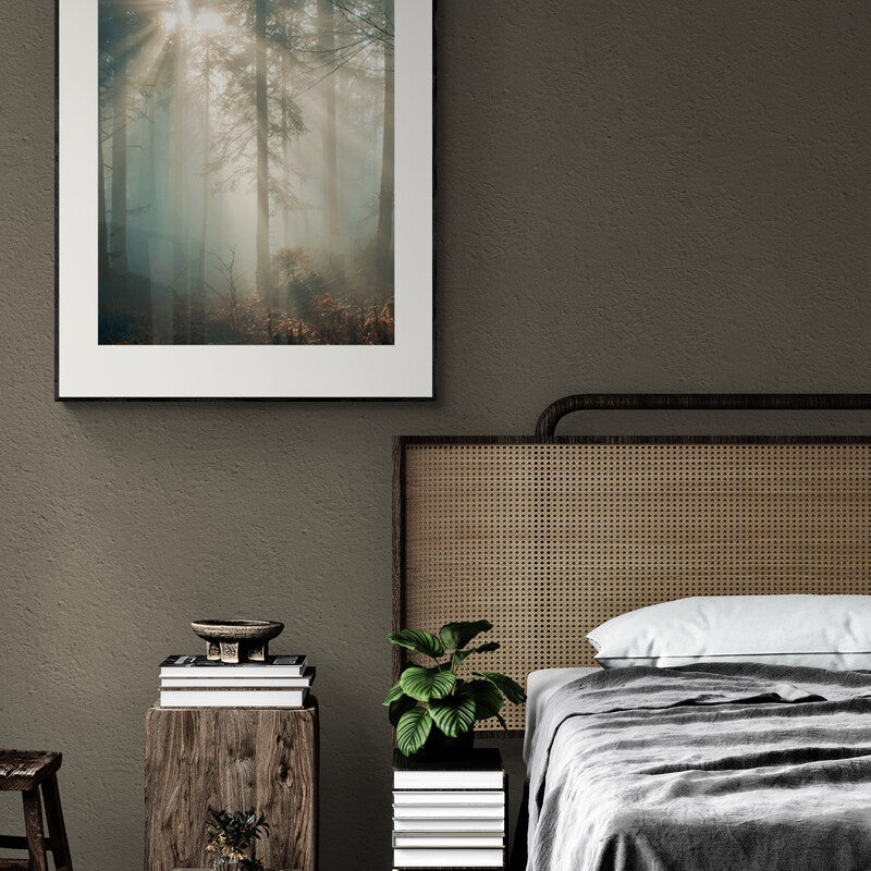 Poster in Lijst Zonnestraal in het Winterwoud