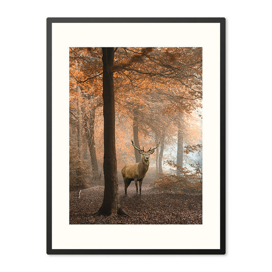 Poster in Lijst Hert in Herfstbos
