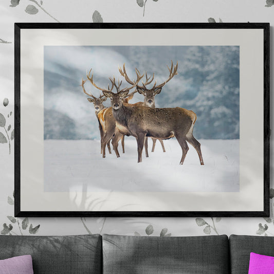 Poster in lijst Winters Monarch