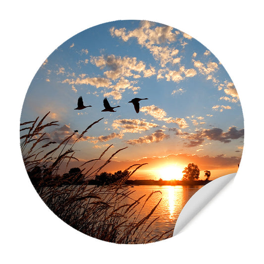 Muursticker - Ganzen bij Zonsondergang