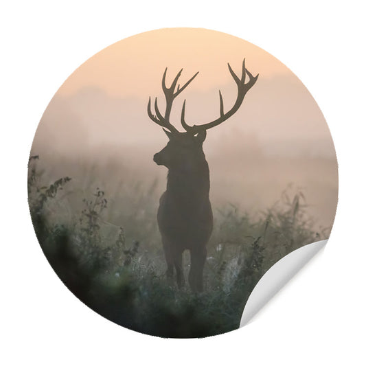 Muursticker - Hert in de Ochtend