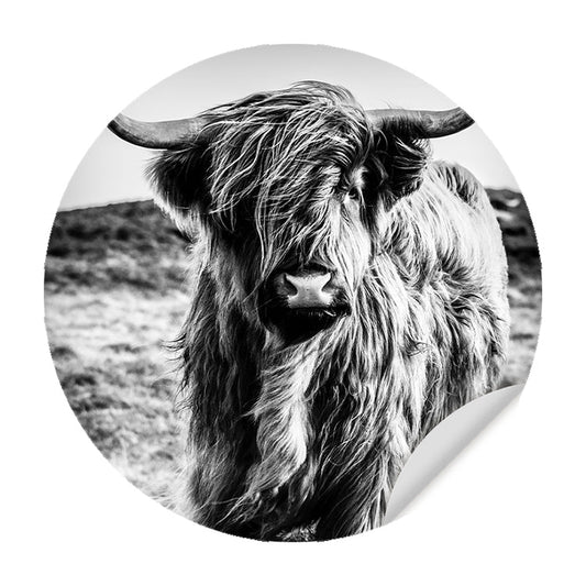 Muursticker - Wild Highland Beauty Zwart Wit