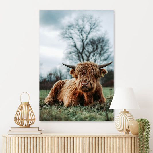 Schilderij Hooglander in Rust