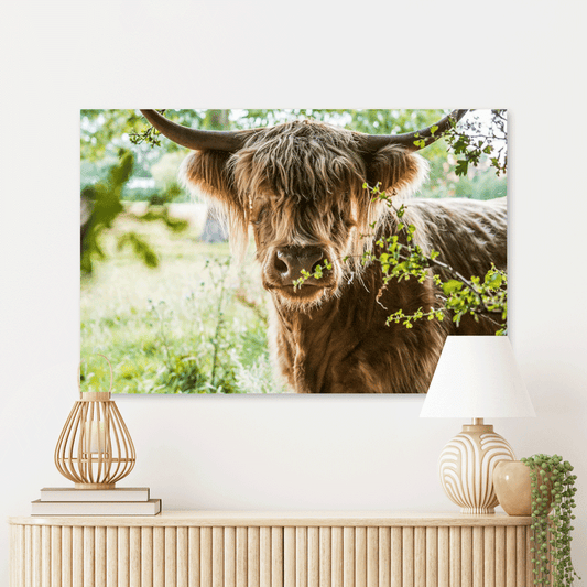 Schilderij Vredige Hooglander