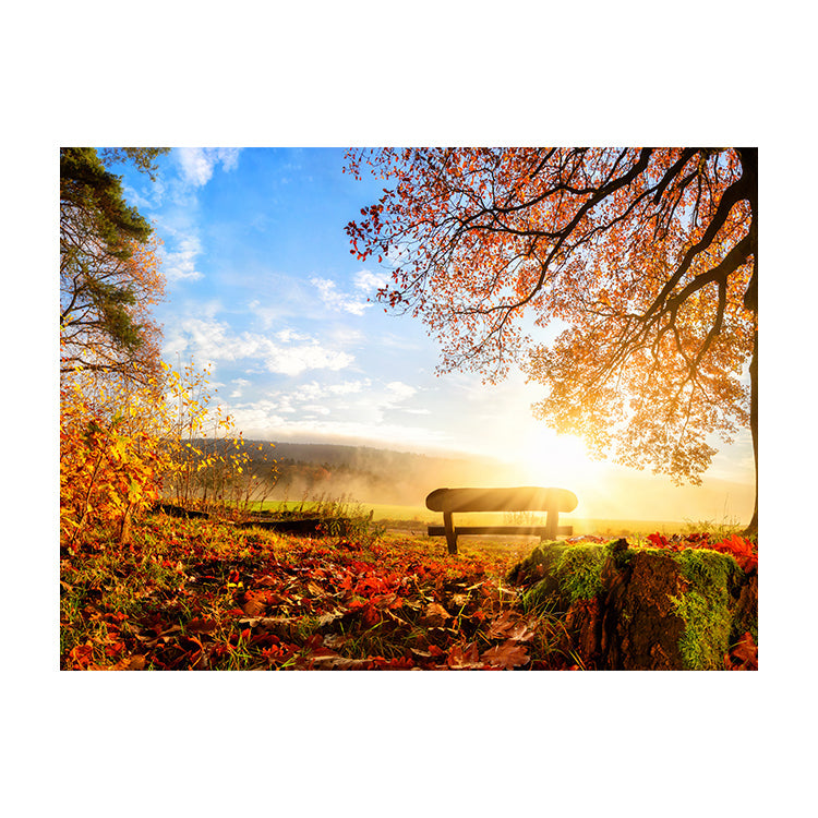 Schilderij Bankje in Herfstzon