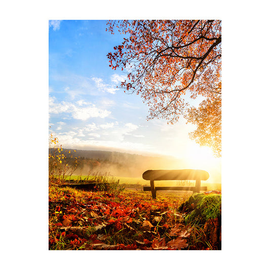 Schilderij Bankje in Herfstzon
