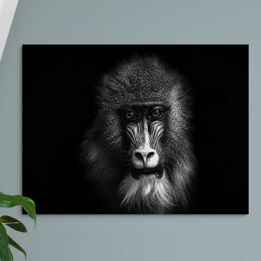 Schilderij Baviaan