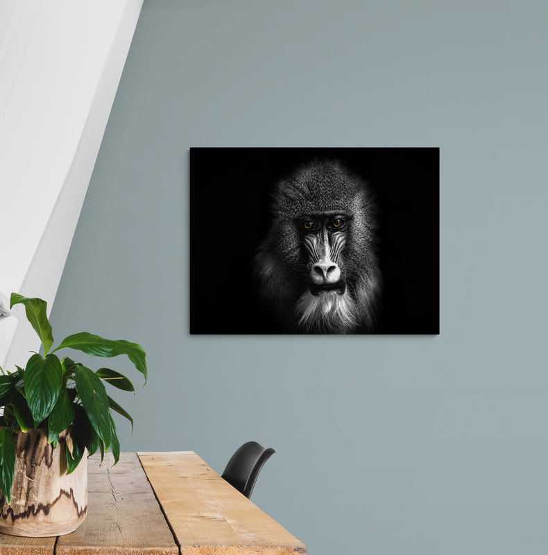 Schilderij Baviaan