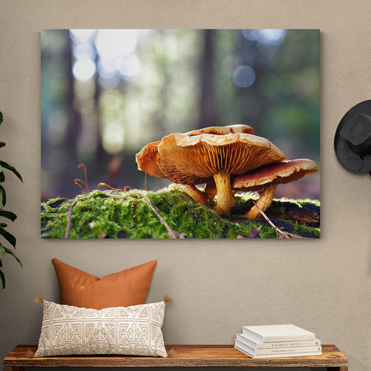 Schilderij Betoverende Bos-Paddenstoelen