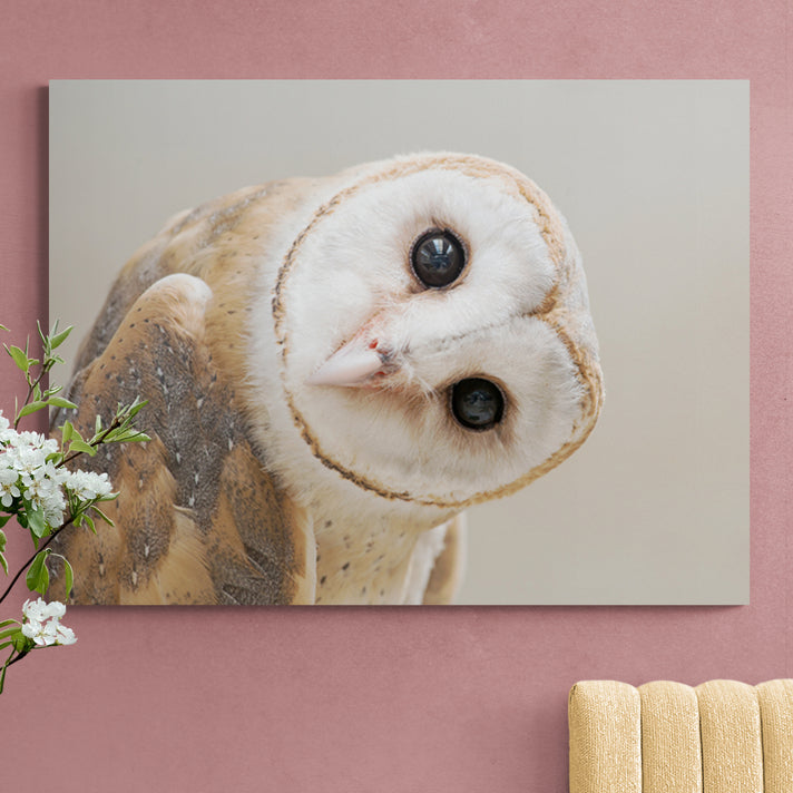 Schilderij Betoverende Schuuruil