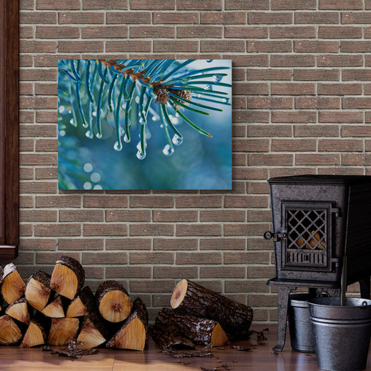 Schilderij Blauwe Spar met Waterdruppels