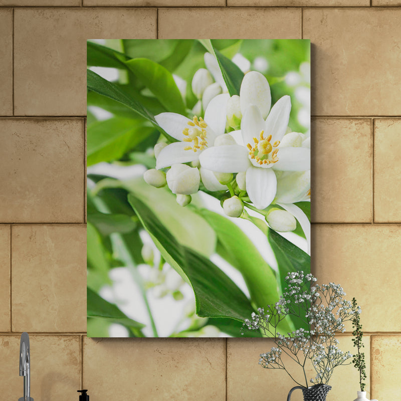 Schilderij Citrusbloesems in volle Pracht