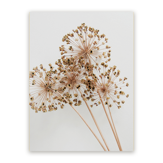 Schilderij Droogbloemen