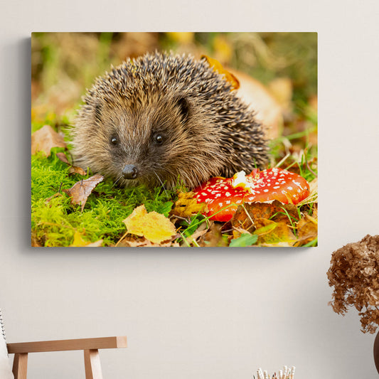 Schilderij Egel in Herfstlandschap