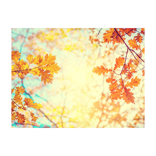 Schilderij Dromerige Herfst