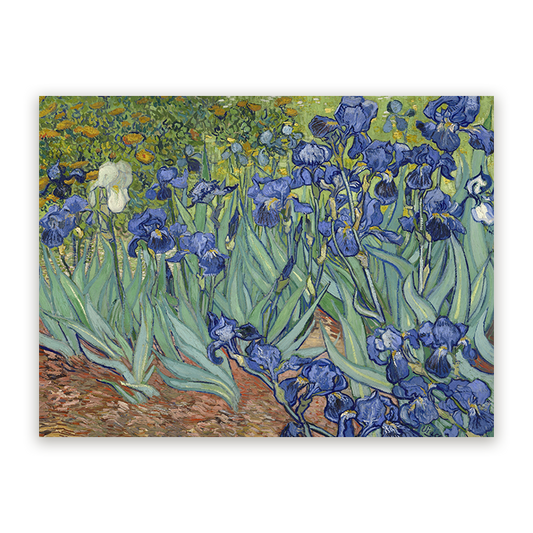 Schilderij Irissen