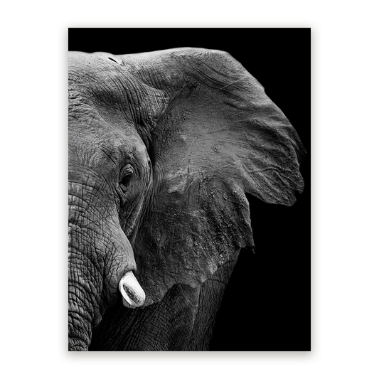 Schilderij Krachtige Olifant