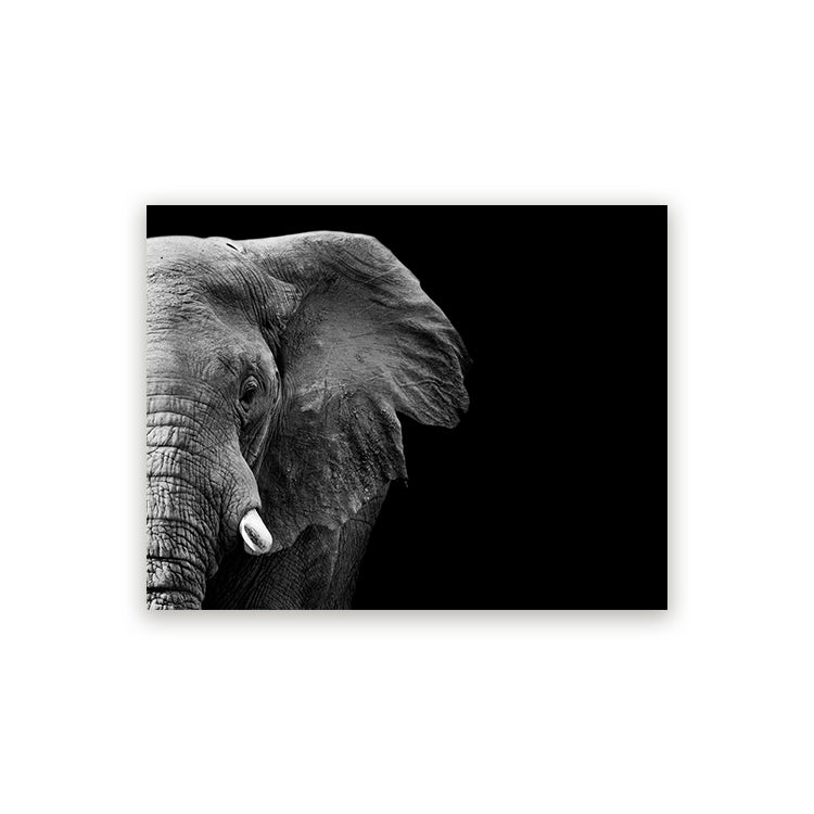 Schilderij Krachtige Olifant