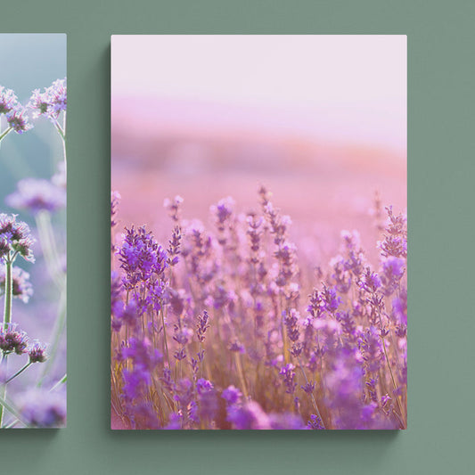 Schilderij Lavendelbloemen