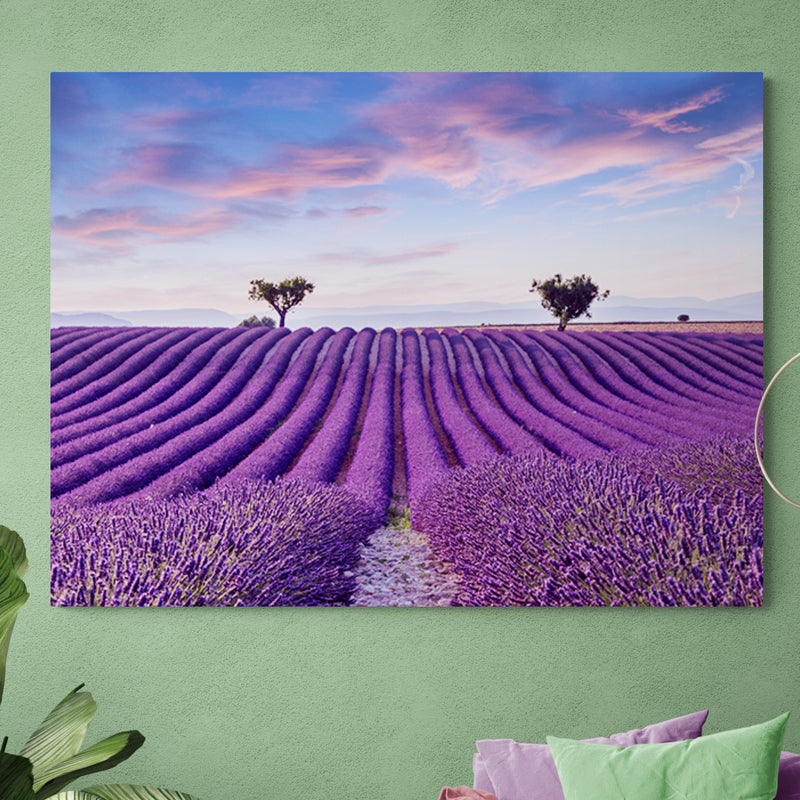 Schilderij Lavendelveld in de Provence