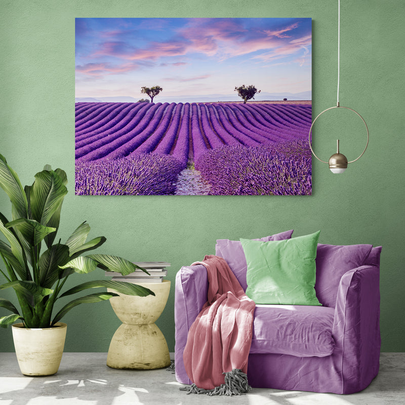 Schilderij Lavendelveld in de Provence
