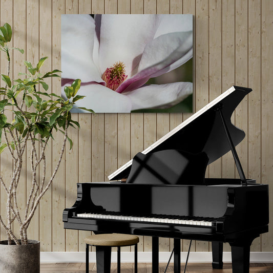 Schilderij Magnolia Bloesem