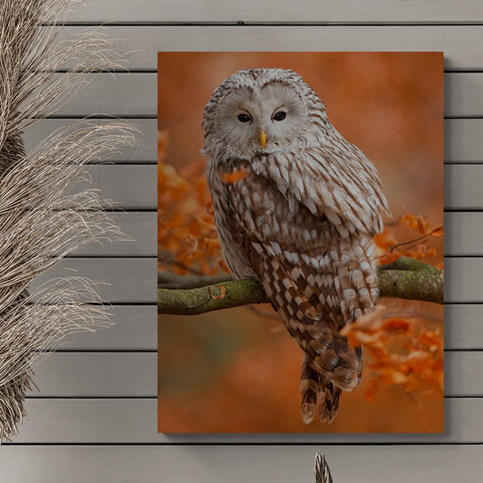 Schilderij Mystieke Uil