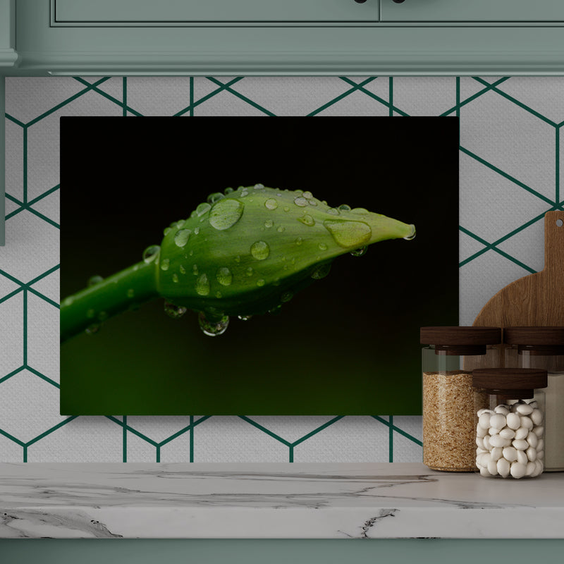 Schilderij Parels van Regen op Lenteknop