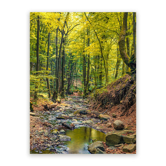 Schilderij Prachtig Herfstbos