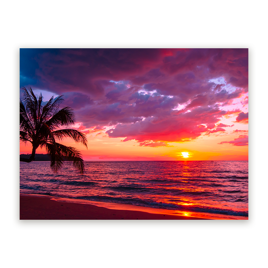 Schilderij Prachtig Tropisch Strand