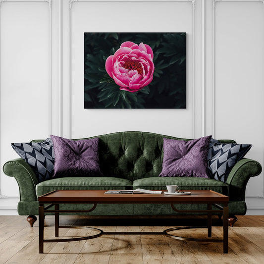 Schilderij Prachtige Rose Pioenroos