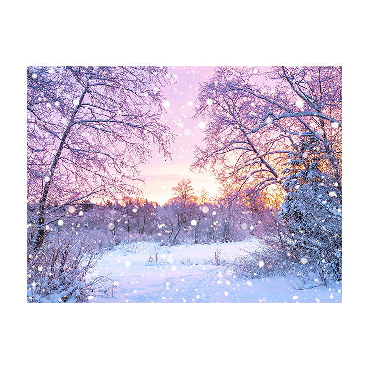 Schilderij Prachtige Winterochtend
