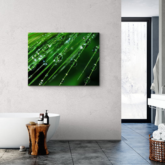 Schilderij Regendruppels op een plant