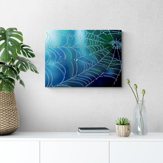 Schilderij Regenpatroon op een Spinnenweb