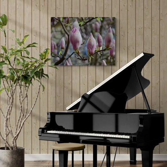 Schilderij Roze Magnolia's