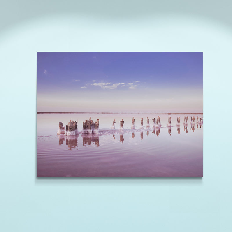 Schilderij Roze Zoutmeer Panorama