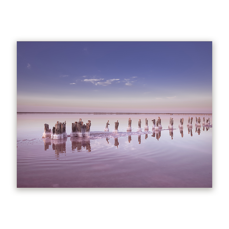 Schilderij Roze Zoutmeer Panorama