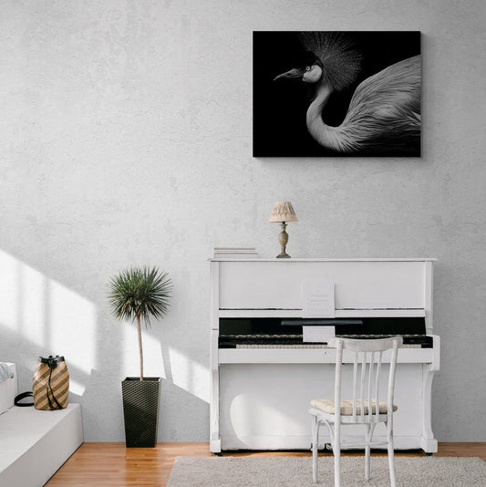 Schilderij Schaduwspel Flamingo